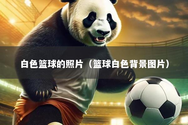 白色篮球的照片（篮球白色背景图片）