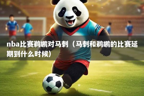 nba比赛鹈鹕对马刺（马刺和鹈鹕的比赛延期到什么时候）