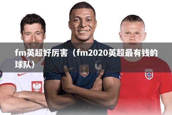 fm英超好厉害（fm2020英超最有钱的球队）