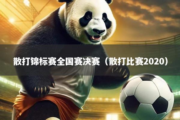 散打锦标赛全国赛决赛（散打比赛2020）